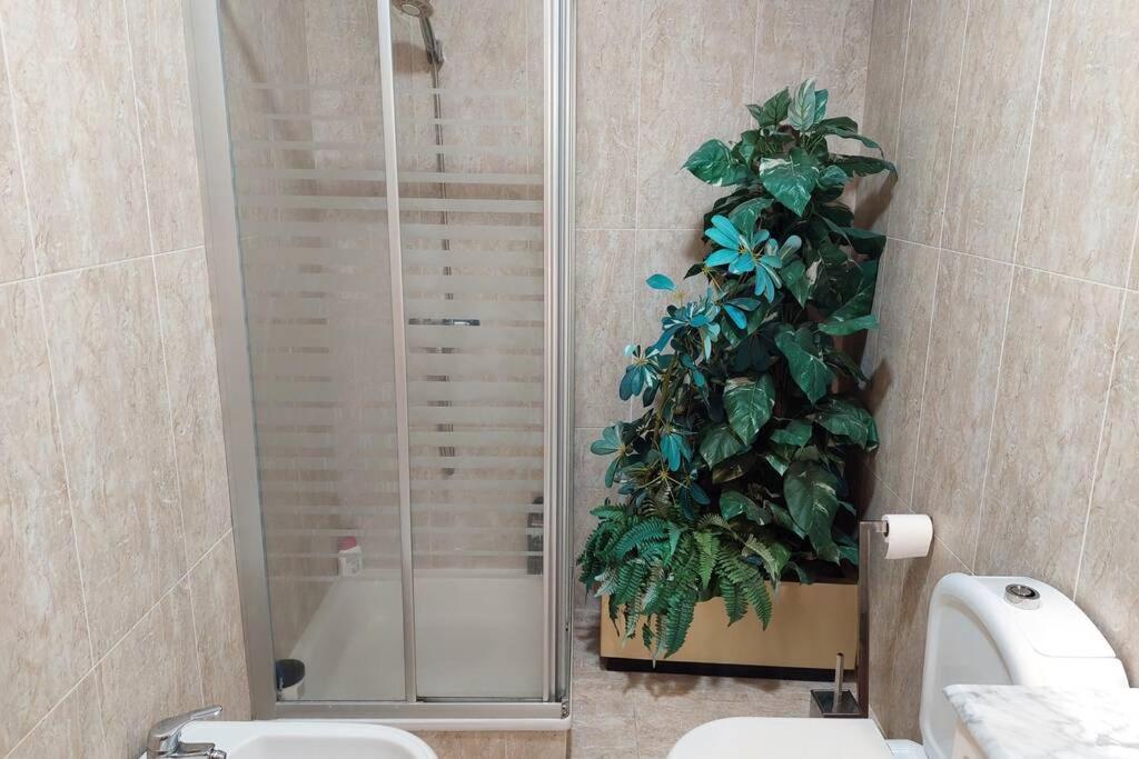 Chalet A Solo 5 Min De Ourense Ciudad Con Jardin Y Barbacoa المظهر الخارجي الصورة